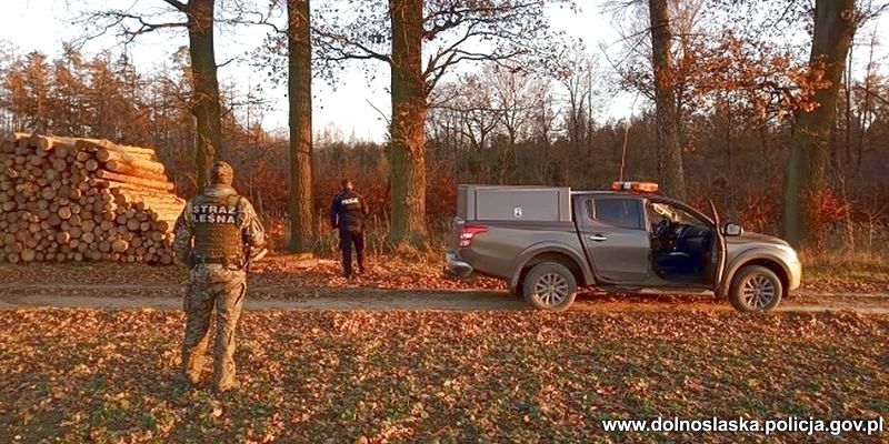 Lubań: Kontrole policjantów i strażników leśnych
