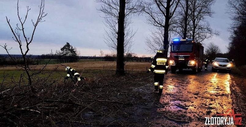 Powiat złotoryjski: Skutki wichury