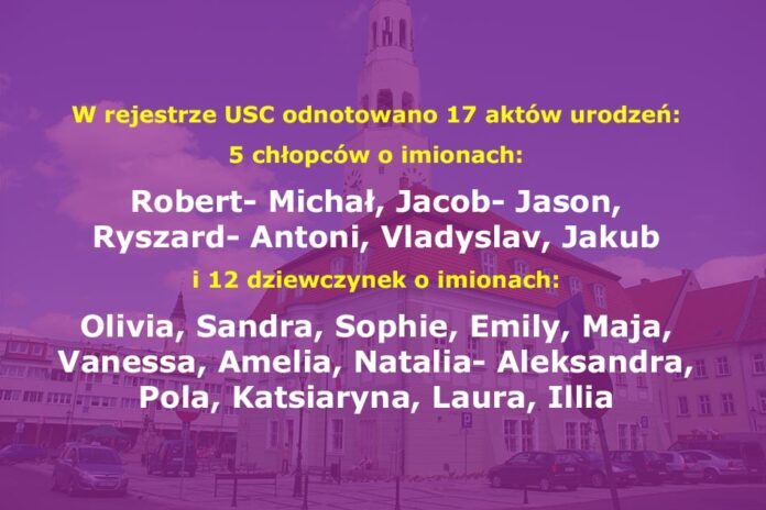 Gryfów Śląski: Statystyczne podsumowanie