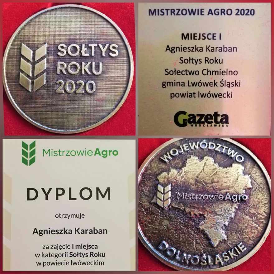 Powiat Lwówecki: Sołtys Roku 2020