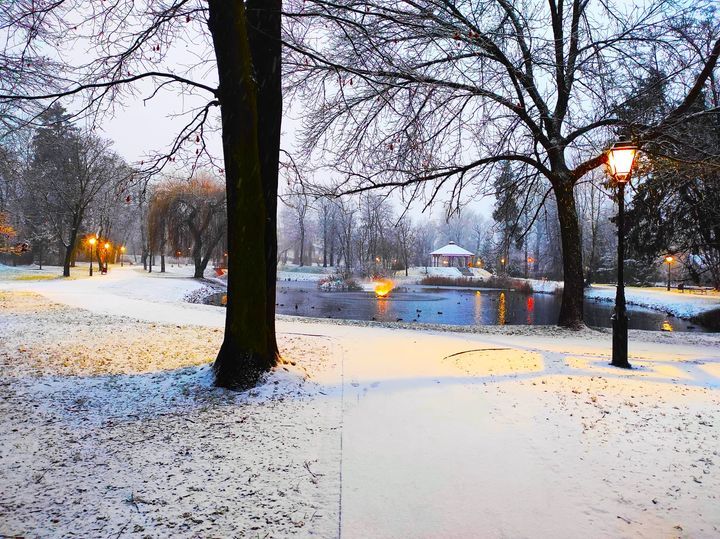 Lwówek Śląski: Niszczycielska