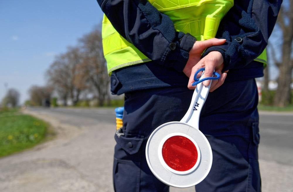Ubocze, Gryfów Śląski: Prowadzili mimo zakazu