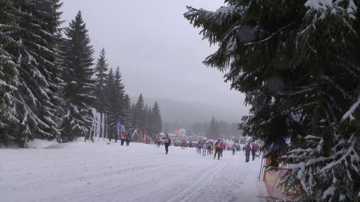 Jelenia Góra: Jaki będzie Bieg Piastów?