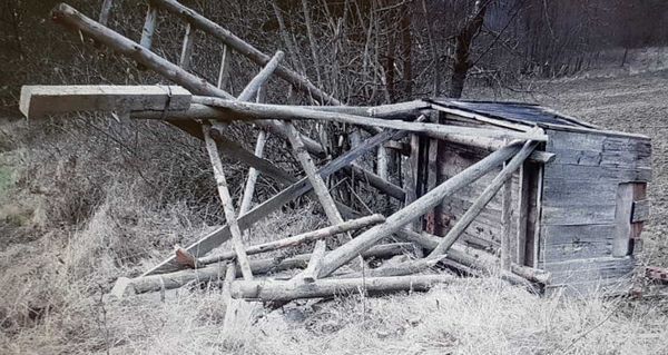Powiat: Wandal stanie przed sądem