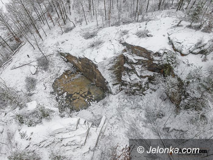 Jelenia Góra: Wycinka drzew przy Morskim Oku