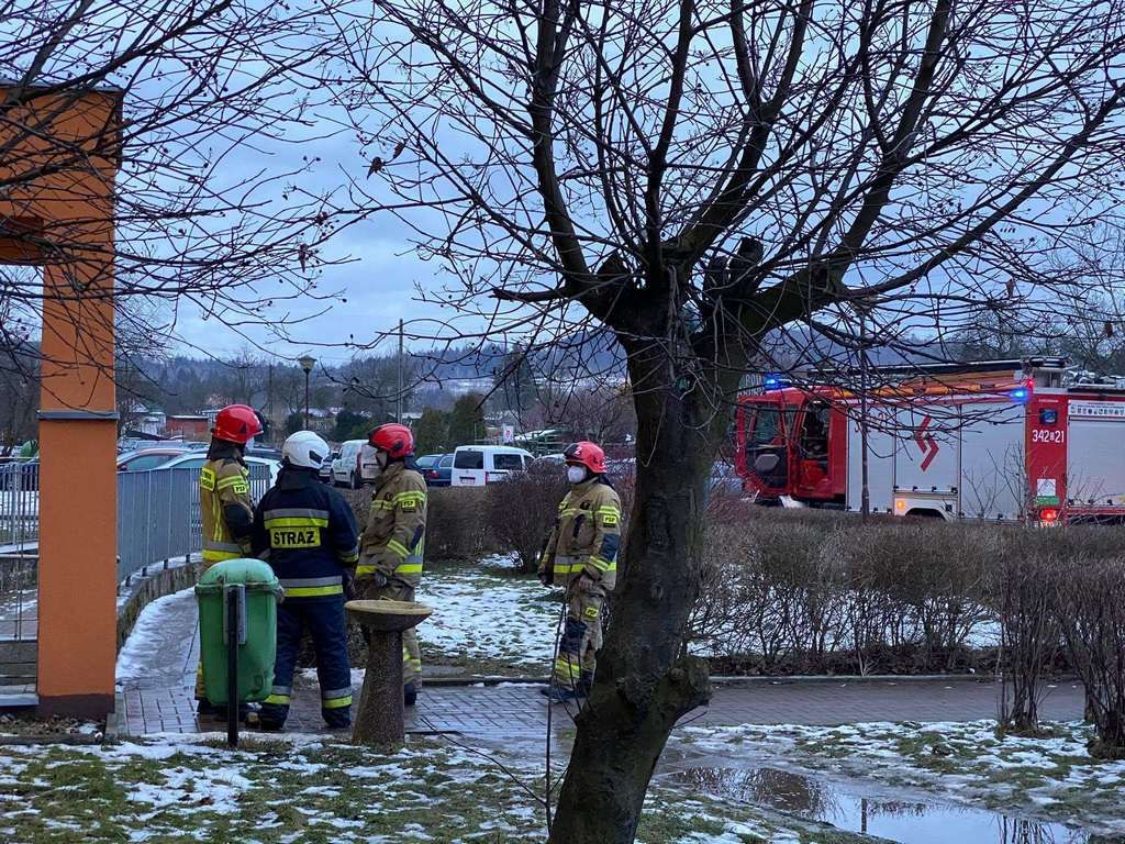Jelenia Góra: Desperat – szaleniec?