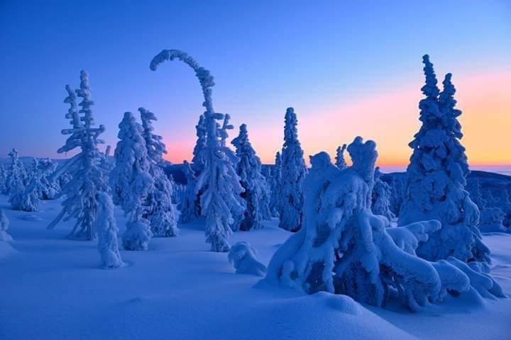 Karkonosze: Uratowali turystów