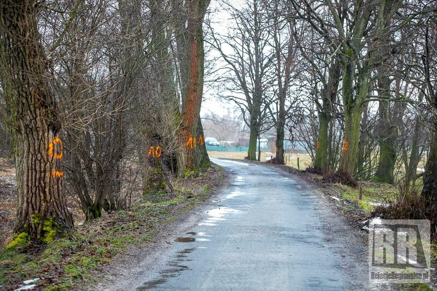 Czadrów, Krzeszów: Będzie remont drogi