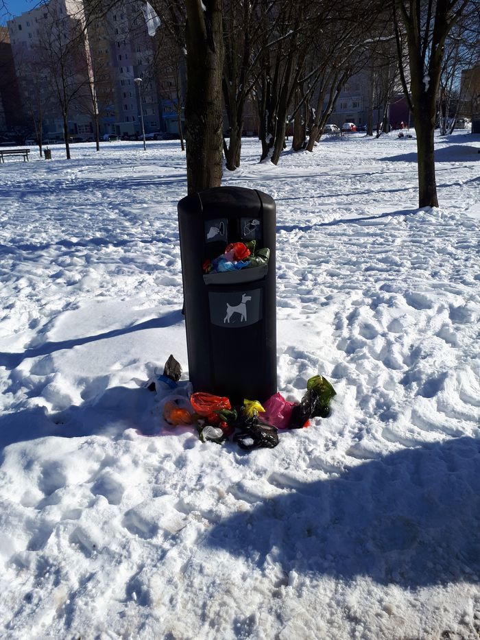 Jelenia Góra: Psi problem na Zabobrzu