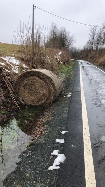 Kamienna Góra: Zaśmiecona ścieżka