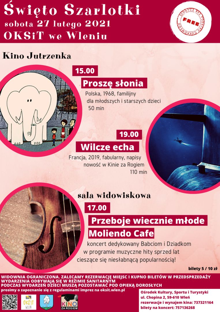 Wleń: Święto szarlotki
