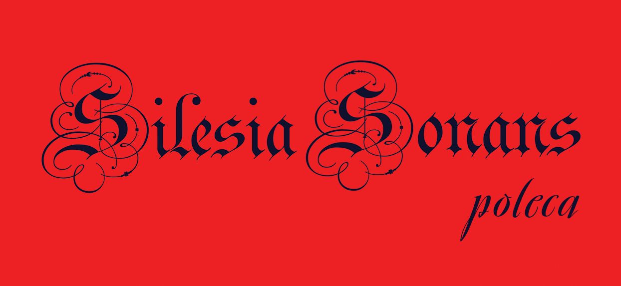 Jelenia Góra: Silesia Sonans poleca (5)