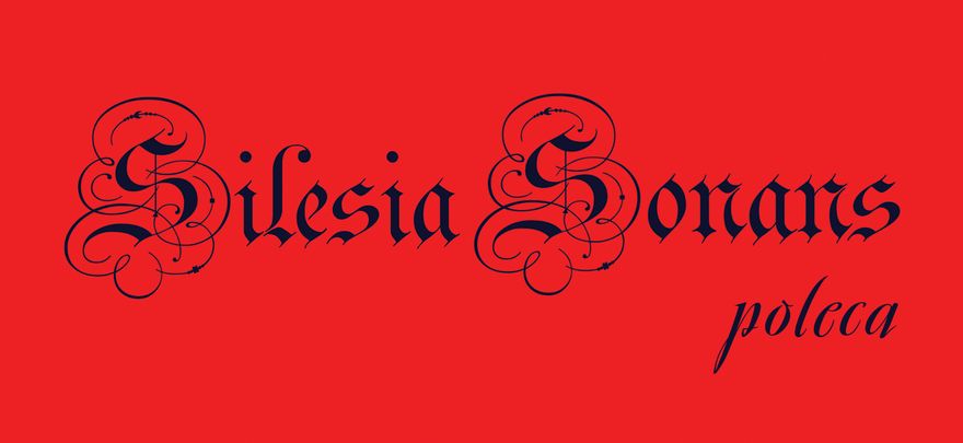 Jelenia Góra: Silesia Sonans poleca (5)