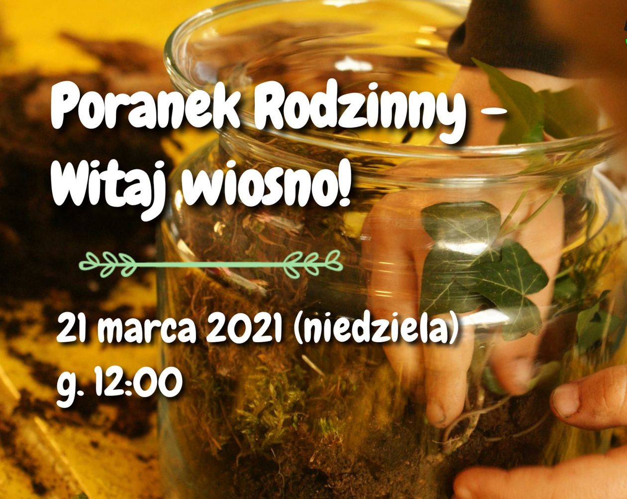 Jelenia Góra: Wiosenny Poranek Rodzinny w niedzielę