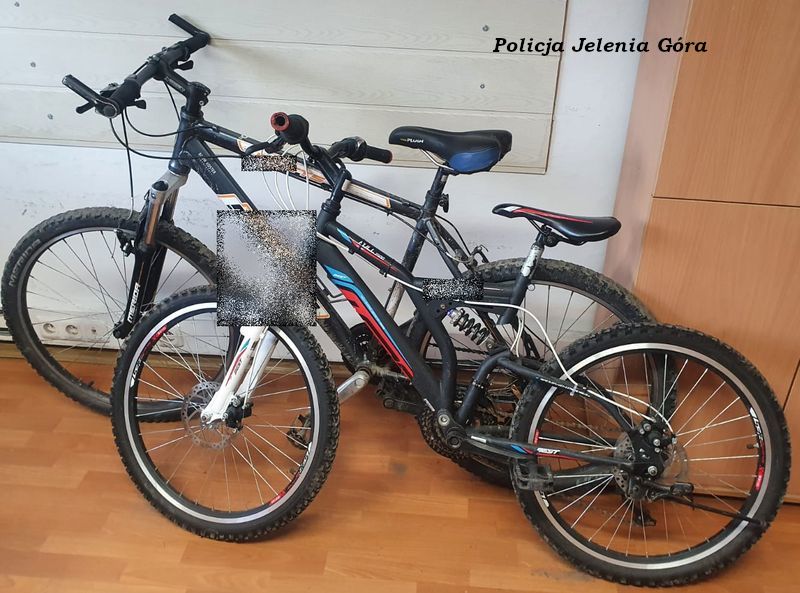 Jelenia Góra: Kradł na potęgę – stanie przed sądem