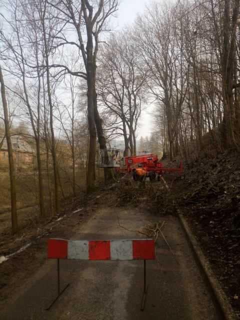 Chełmsko Śląskie: Trwa wycinka drzew