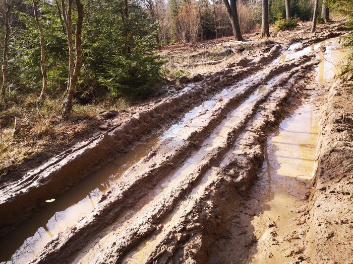 Jelenia Góra: Leśnicy naprawią zniszczoną drogę