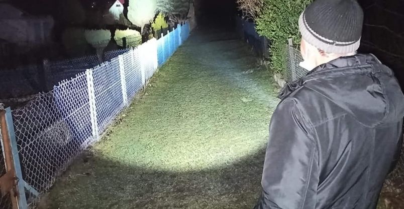 Złotoryja: Nocne patrole