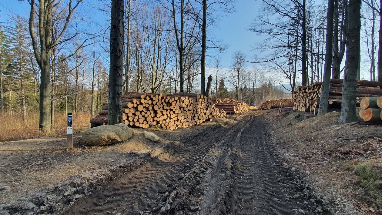 Region: Zniszczyli, więc naprawią