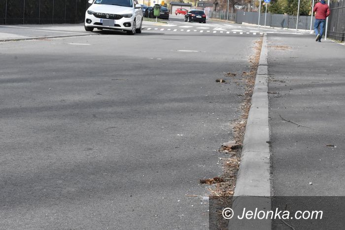 Jelenia Góra: Kto posprząta na Tabaki?