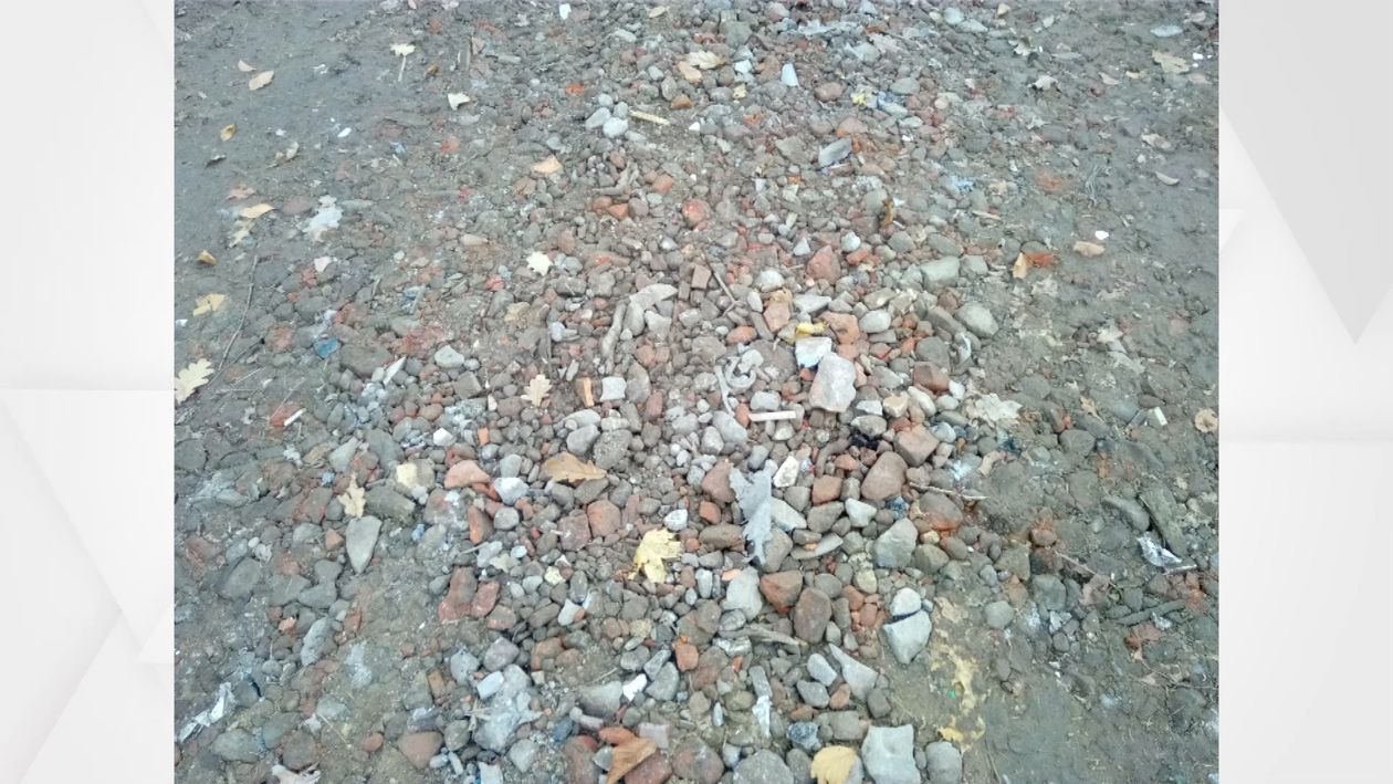 Jelenia Góra: Wyrzucali odpady w lesie, a urzędnicy nie reagowali