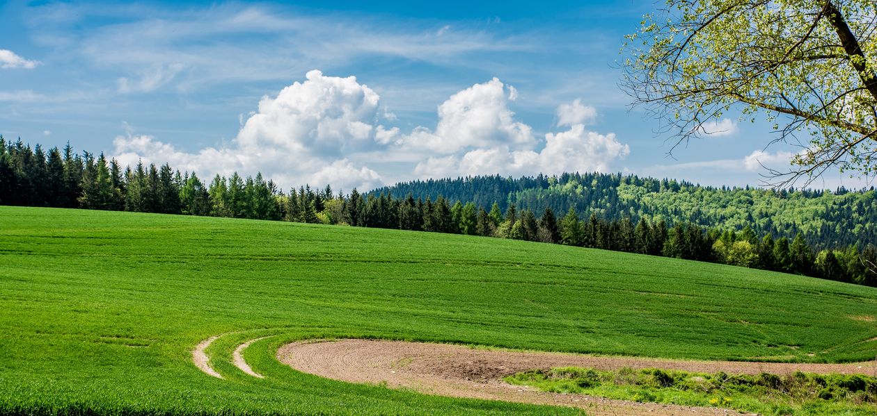 Powiat: Wsparcie na ochronę gruntów rolnych
