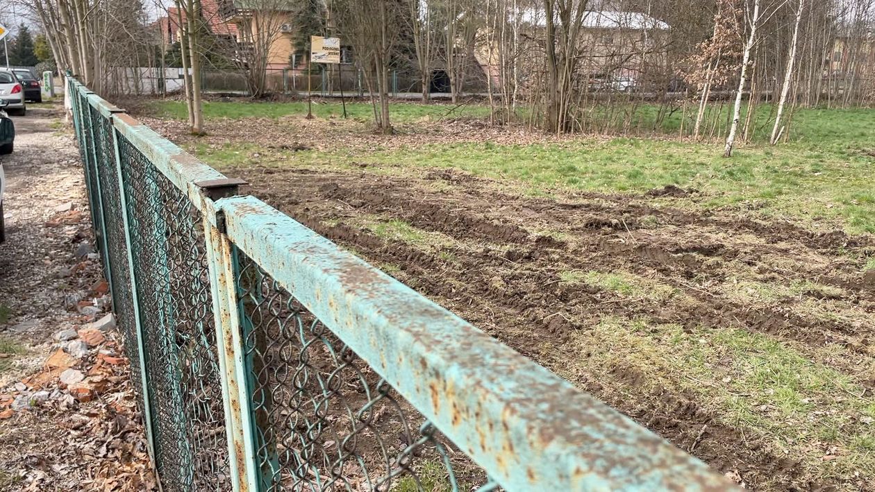 Jelenia Góra: Bez zezwolenia ścięto w Cieplicach 50 drzew
