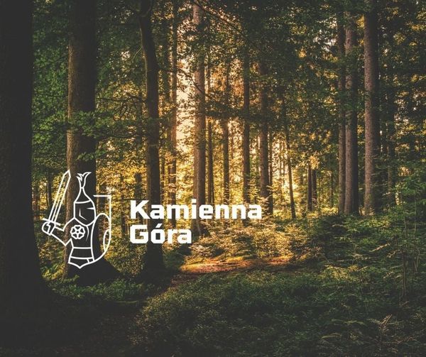 Kamienna Góra: W trosce o drzewostan