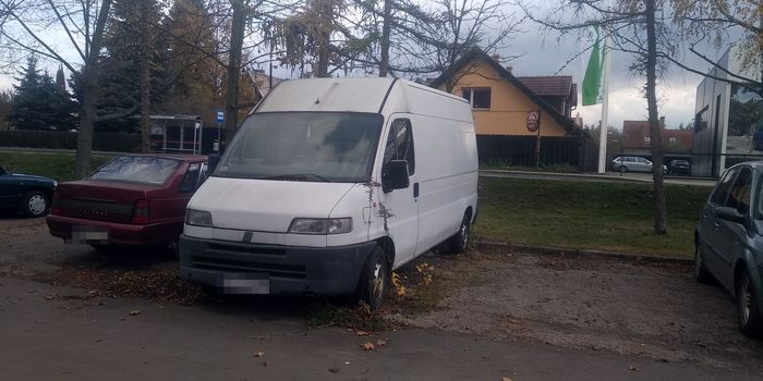 Jelenia Góra: Straż miejska złamała prawo?