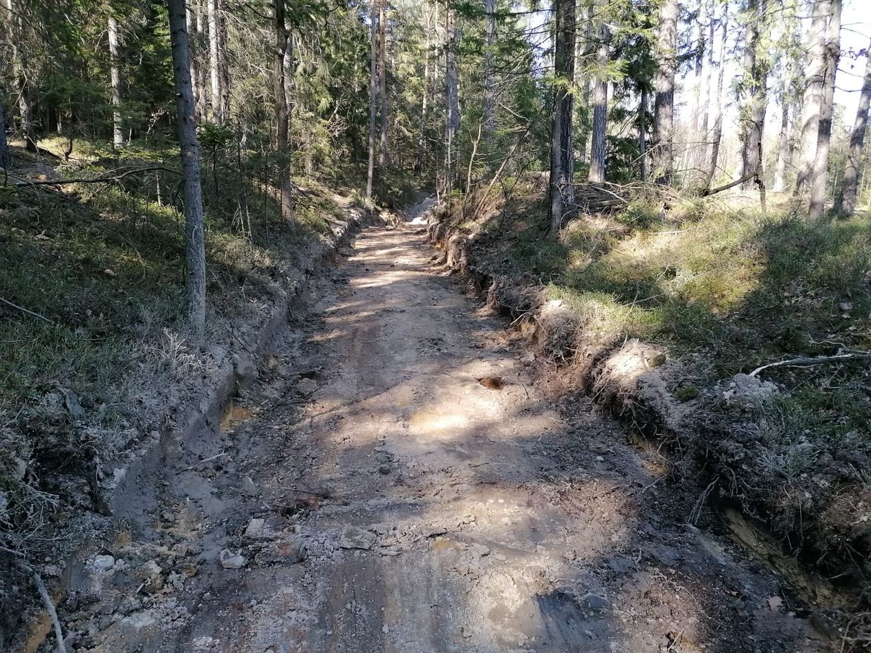 Jelenia Góra: Leśnicy kończą porządki