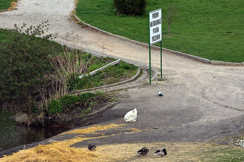 Jelenia Góra: Tak się tylko szkodzi