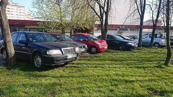Jelenia Góra: Zajeżdżają trawniki
