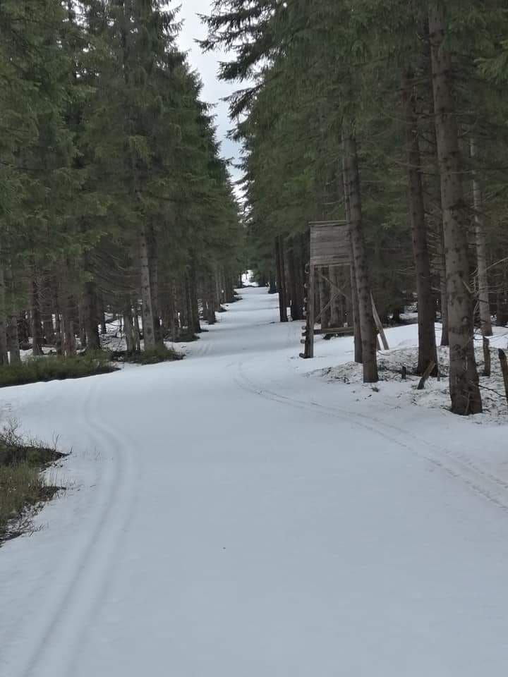 Polana Jakuszycka: Są warunki na biegówki