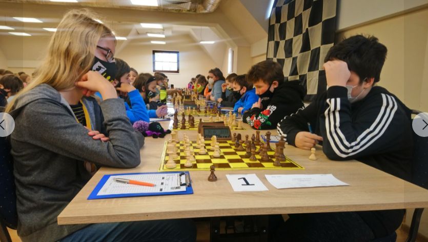 Wrocław: Jelonka wysoko we Wrocławiu