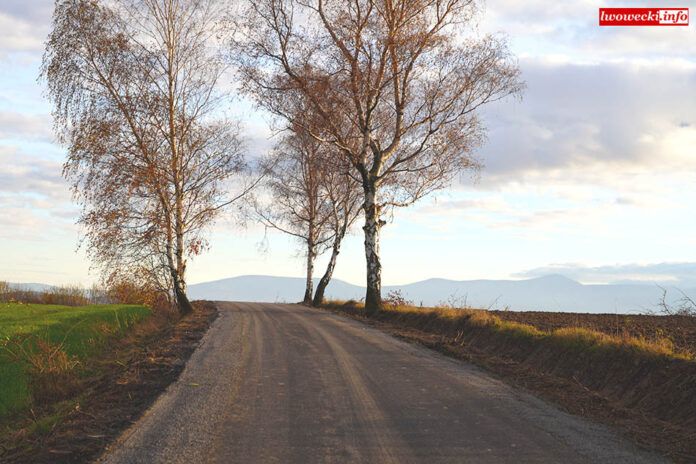 Powiat Lwówecki: Remont drogi powiatowej