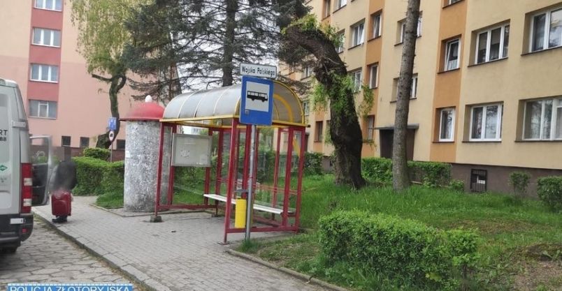Złotoryja: Zniszczyła – pójdzie siedzieć
