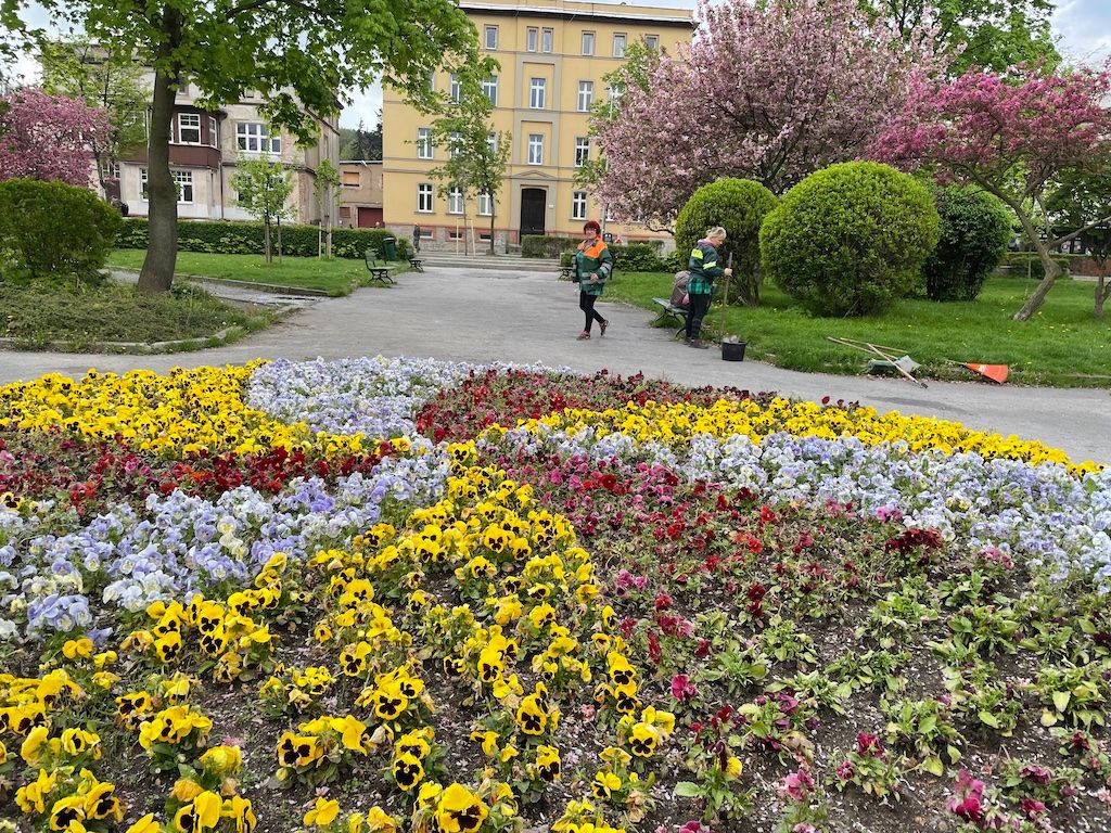 Jelenia Góra: Miastu przybywa barw
