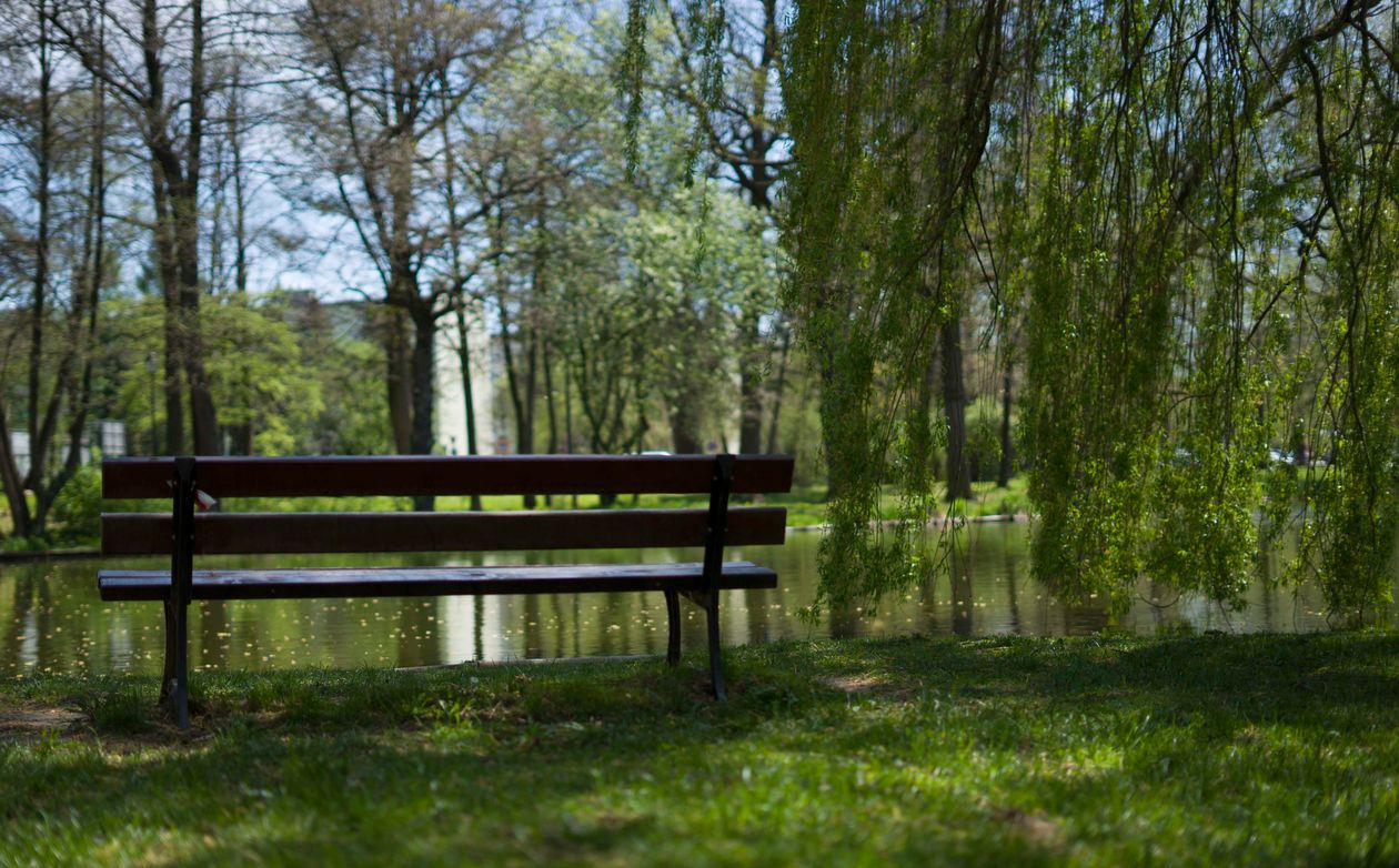 Jelenia Góra: Lubię moje miasto (galeria)