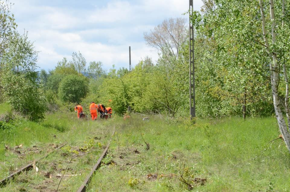 Region: Kolej Izerska