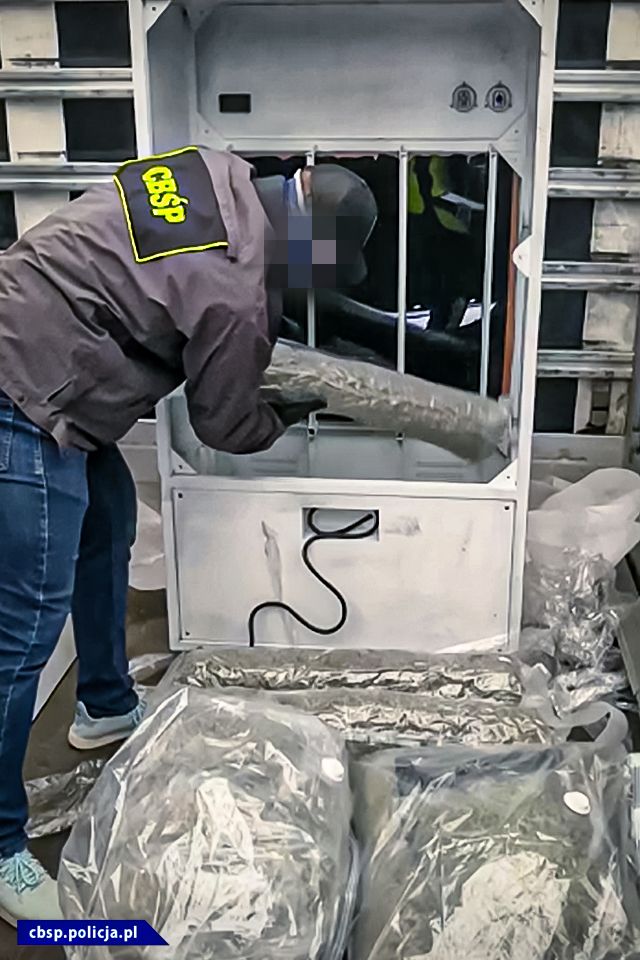 Region: Zlikwidowano szlak przemytu marihuany