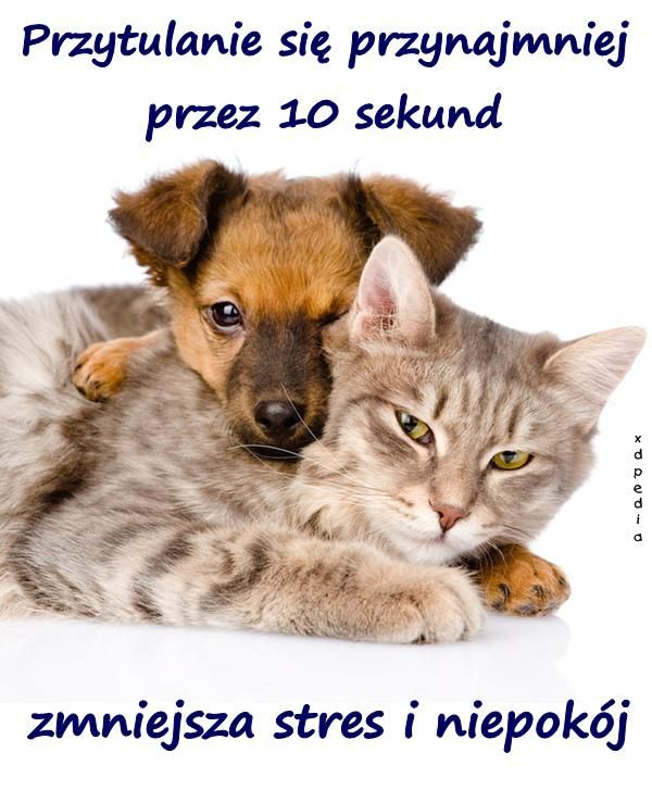 Kraj: Dzień Przytulania