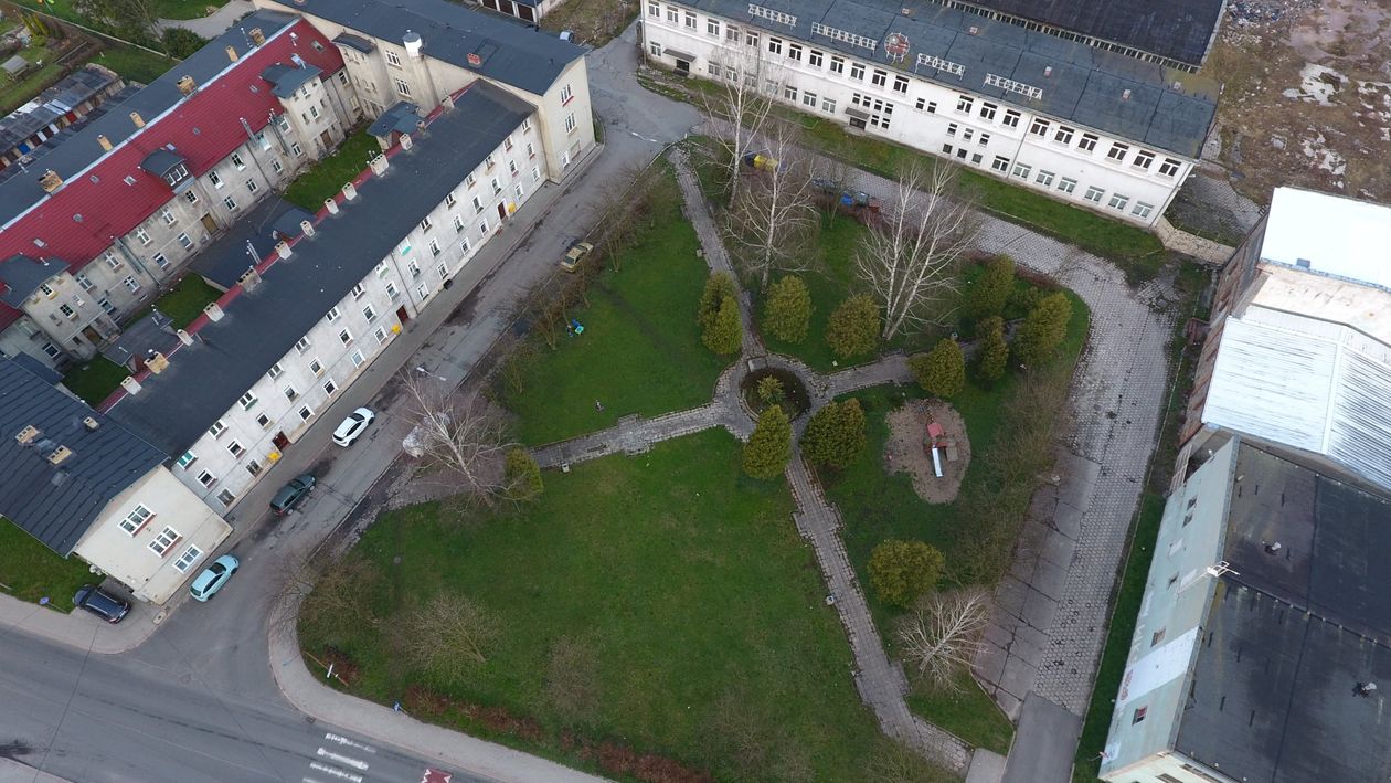 Mysłakowice: Spór o brzozy na skwerze