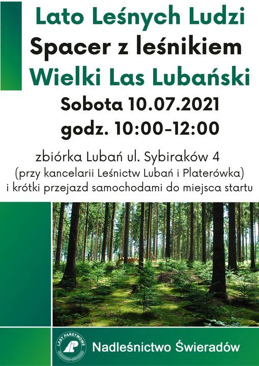 Lubań: Lato leśnych ludzi