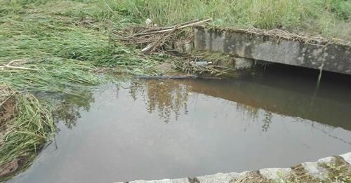 Lwówek/Wleń: Znowu pada
