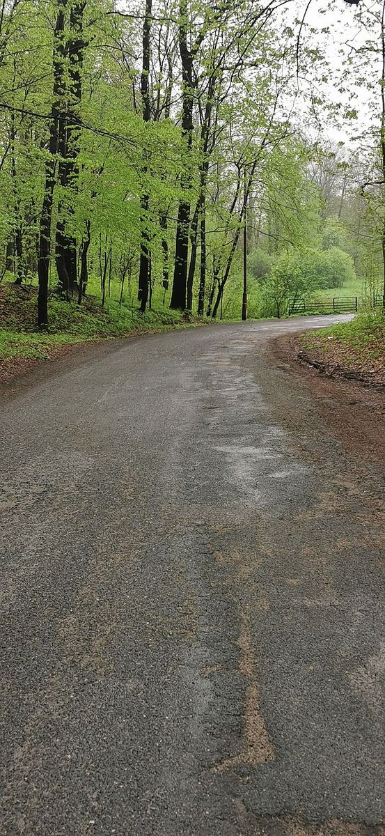 Dąbrowica: Remont drogi  z opóźnieniem