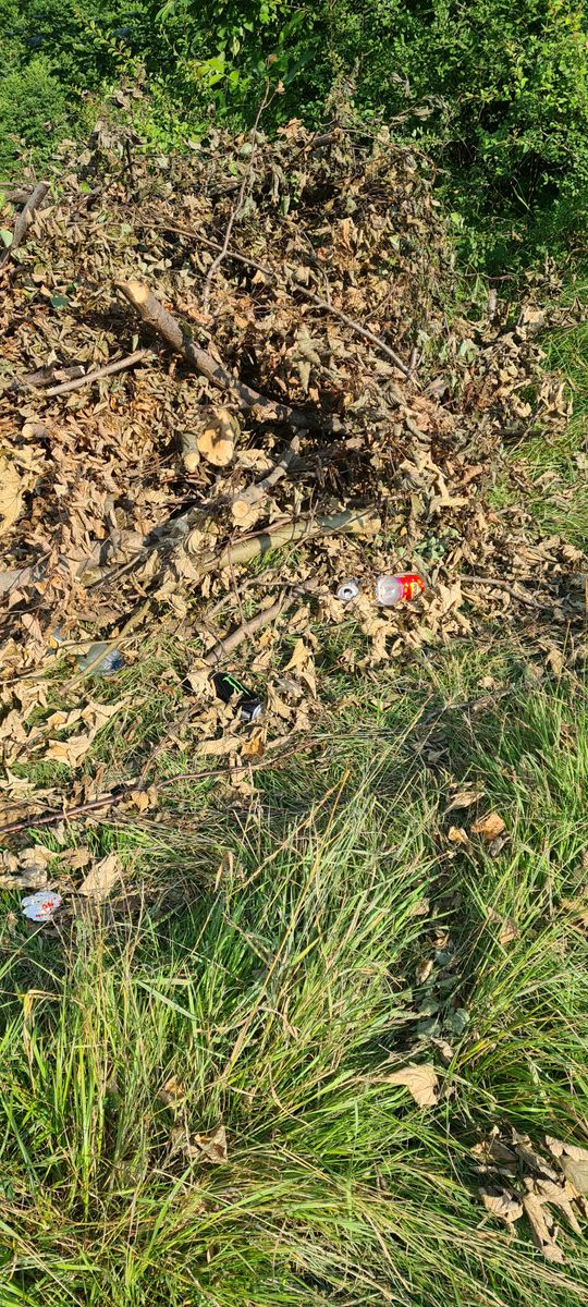 Płoszczyna: Tak się nie sprząta?