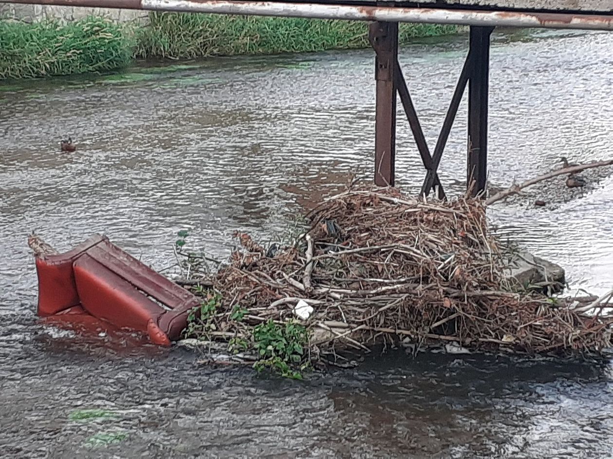 Jelenia Góra: Śmietnik w Kamiennej