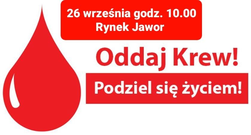 Jawor: Oddaj krew!
