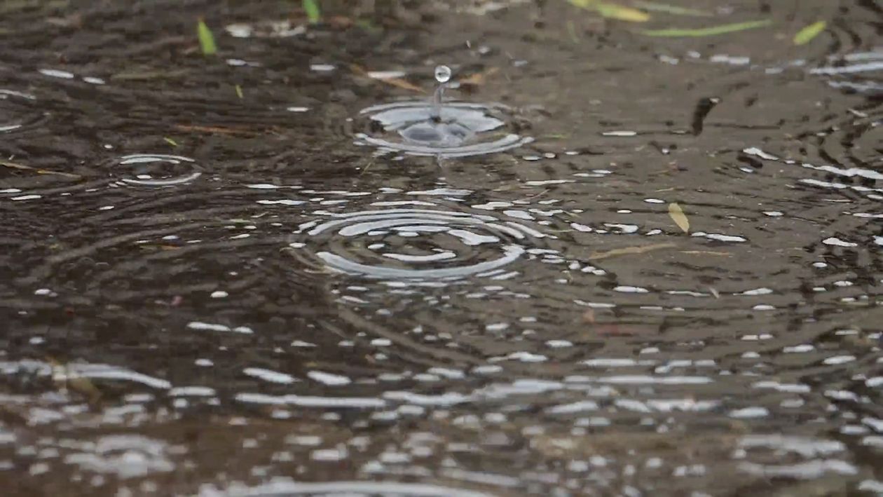 Jelenia Góra: Niespokojna noc za nami