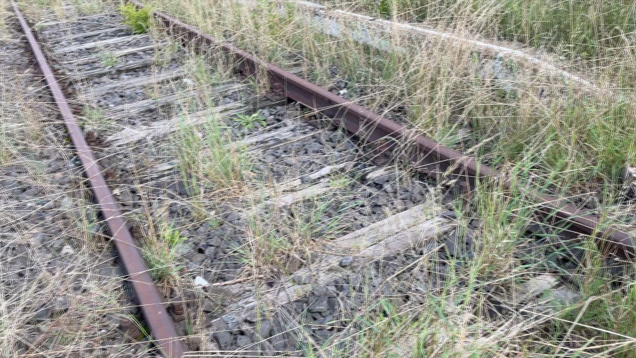 Jelenia Góra: Przygotowania do rewitalizacji linii kolejowych